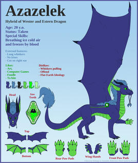 Dragon Reference